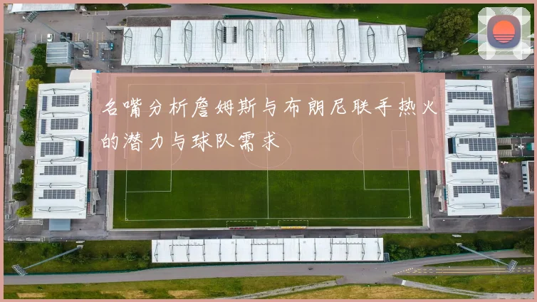 名嘴分析詹姆斯与布朗尼联手热火的潜力与球队需求